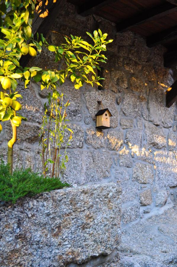 ファフェ Quinta Das Bollotasヴィラ エクステリア 写真